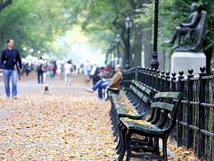 Central Park Benches