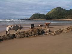 Second Beach, Port St Johns