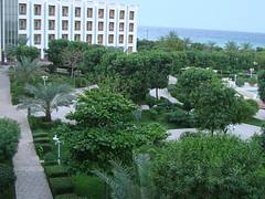 . Bushehr Iran . Bushehr Iran