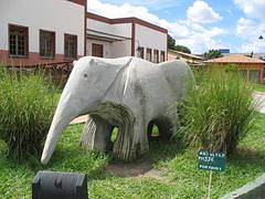 Roráima - Tamanduá Roráima - Tamanduá