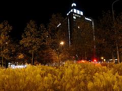 Brunswick City Light.