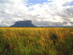 canaima