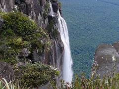 Canaima Salto Angel