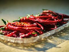 Daily Cayenne Pepper Harvest