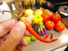 Cayenne Pepper!