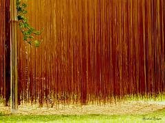 Jugando entre Fideos / Playing into noodles