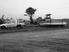 Ute & Dolphin Owenga Chatham Islands