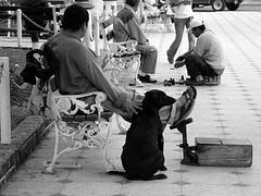 Amistad / Friendship
