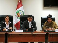 Mesa directiva de Comisión de Pueblos Andinos