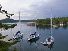 110728_7874A 110728_7874A