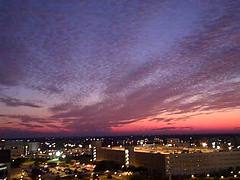 Texas A&M University - College Station, Texas
