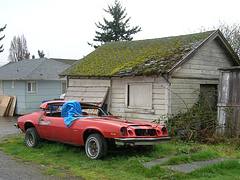 Old Camaro and Blue Tarps
