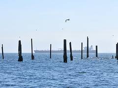 Port Angeles cargo ship