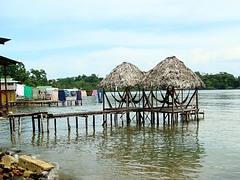 Hamacas