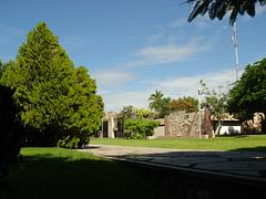 Universidad de Colima