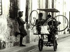 Camaguey cycle (Cuba)