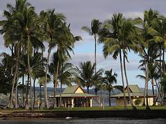 Coconut Island