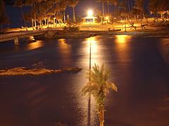 Coconut Island