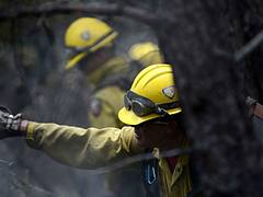 Colorado Waldo Canyon Fire [Image 19 of 24]