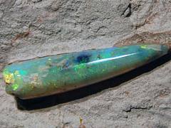 Opalized Peratobelus fossil belemnite (Bulldog Shale, Lower Cretaceous; Coober Pedy Opal Field, South Australia) 2