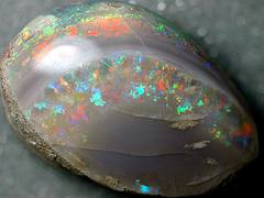 Opalized fossil bivalve (Bulldog Shale, Lower Cretaceous; Coober Pedy Opal Field, South Australia) 09