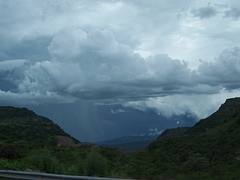 Culebras de Agua 1/3