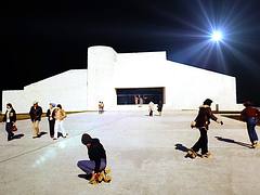 Art  Museum of South Texas - 1984