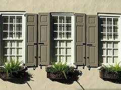 Subtle shades of brown: Shutters and window boxes in wrought iron holders, Charleston, SC