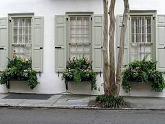 Window Boxes with Pale Green Shutters, Tradd Street, Charleston, SC