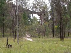 Marlong Arch, Mt Moffatt section, Carnarvon National Park, Queensland