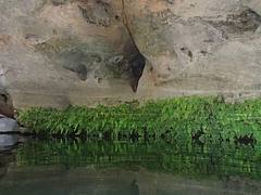 Carnarvon Gorge 2014