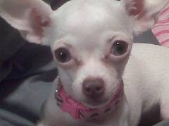 My little one looking cute... My little one looking cute...