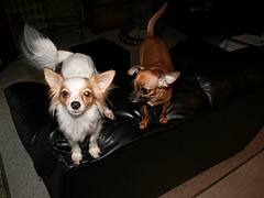 IMG_0776 IMG_0776