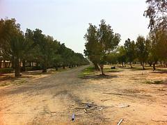Path Path