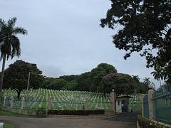 Cementerio Corozal