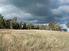 Mudgee