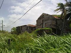 Dangriga