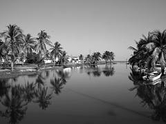 Dangriga