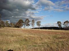Mudgee
