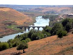 The Tigris River