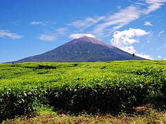 View@Kayuaro