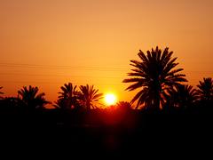 Djerba 2008