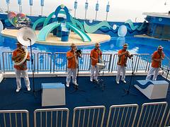 Музыканты из Ocean Park, Hong Kong - Ocean Park Musicians  -5