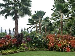 Dole Plantation Garden Dole Plantation Garden