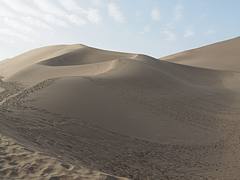 Gobi Desert