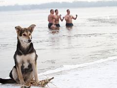 Epiphany rituals cleanse Orthodox faithful in Eastern Europe.