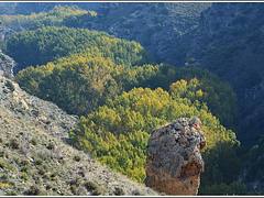 Cañon del Rio Val. Agreda.