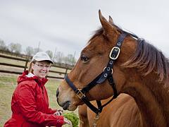 horsey029