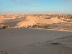 Dunes d'El Oued Dunes d'El Oued