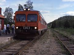 13.06.86 Sveg Y1 1343